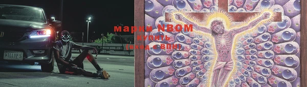 твердый Зеленокумск