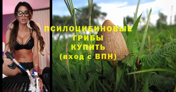 гидра Зерноград