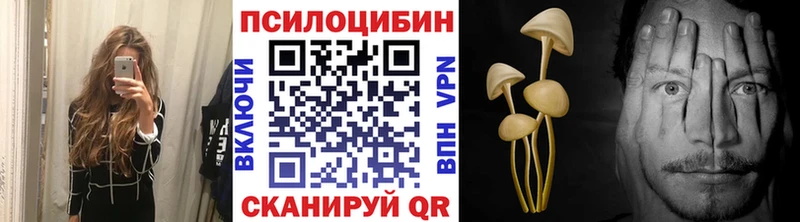 Купить закладки  Дальнегорск  Псилоцибиновые грибы Psilocybine cubensis 